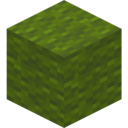 Green Wool