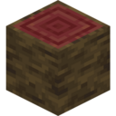 Mangrove Log