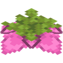 Spore Blossom